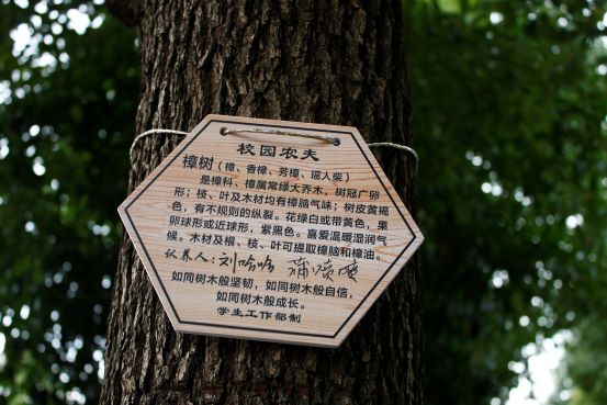 1733365371497855.jpg 第一图.jpg